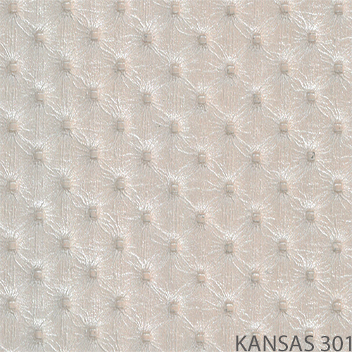 kansas 301_popis